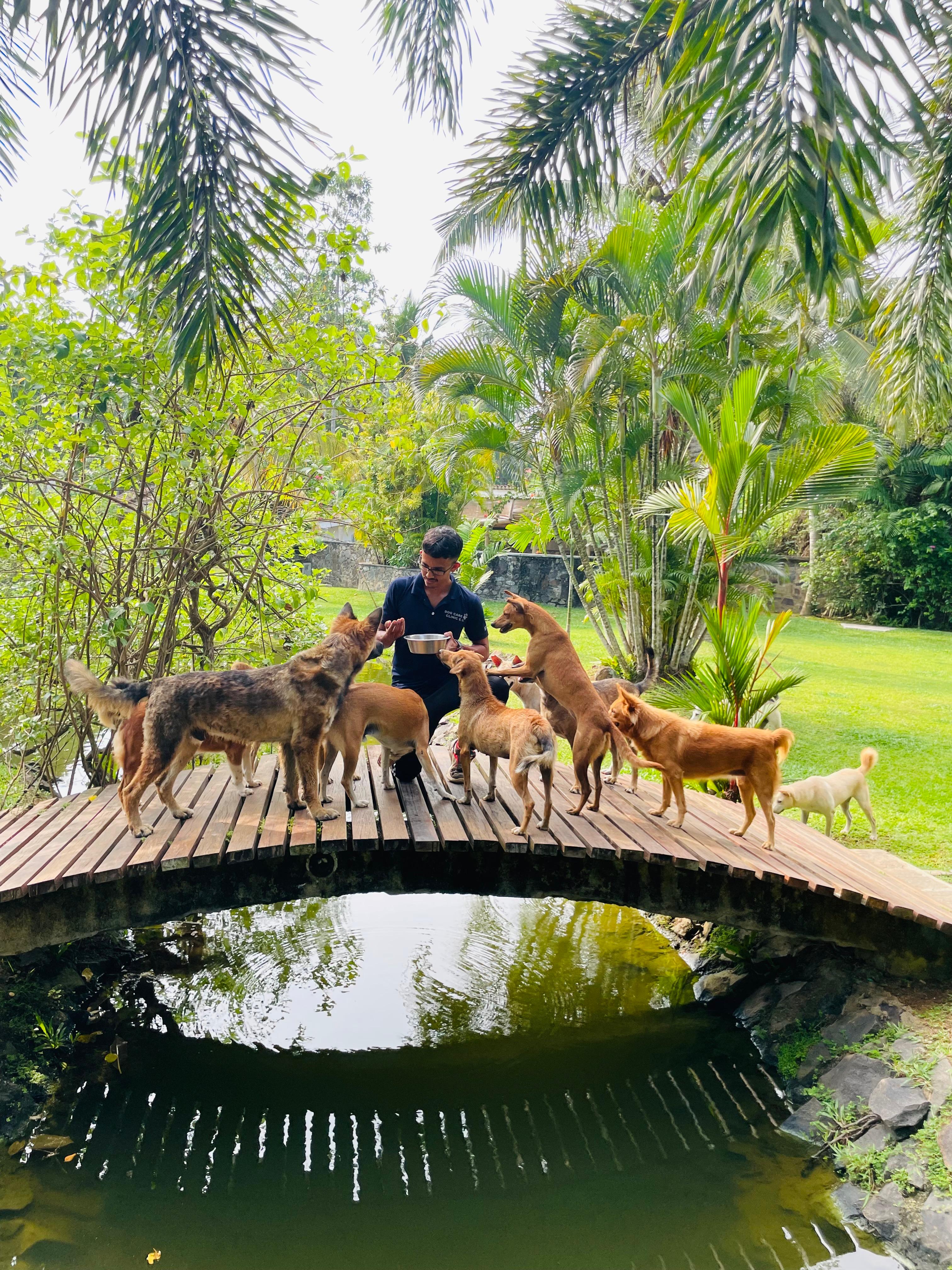 Dog Care Clinic e.V.